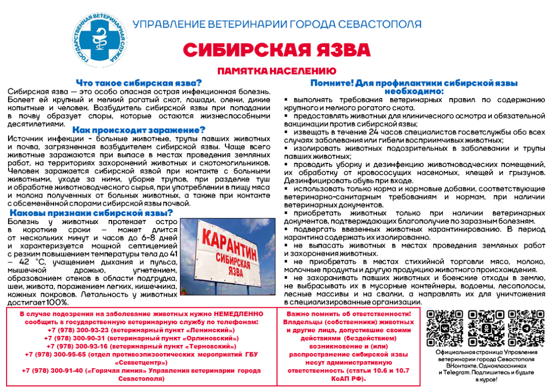 Сибирская язва
